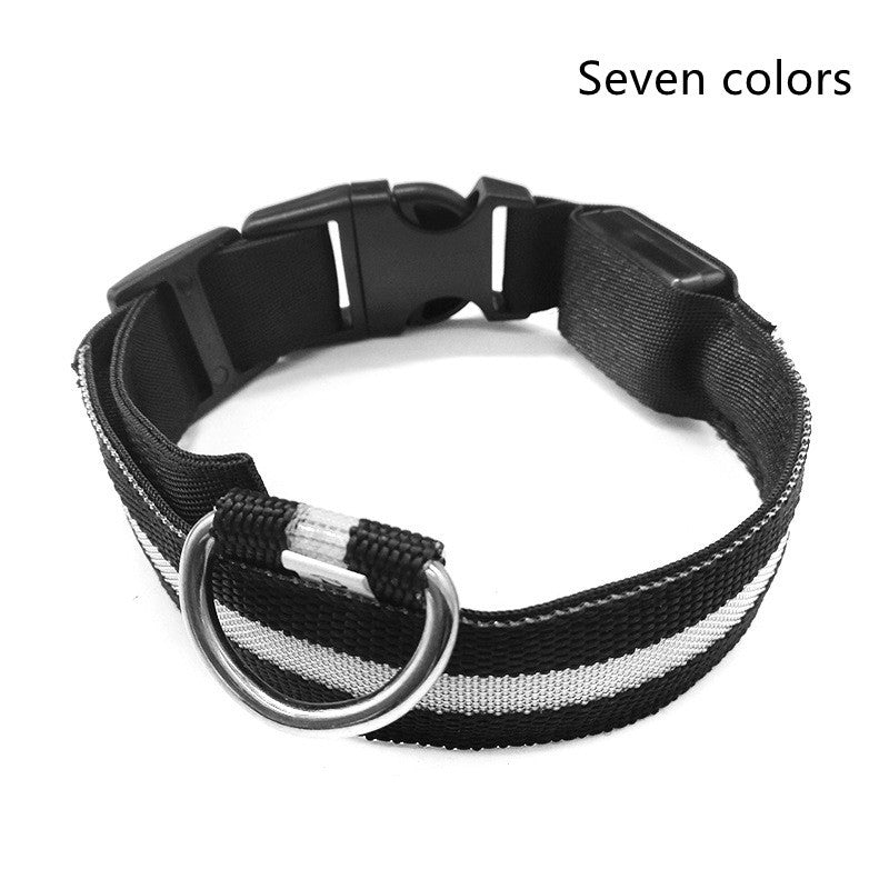 LED Glow Collar – Safe Night Walks for Pets