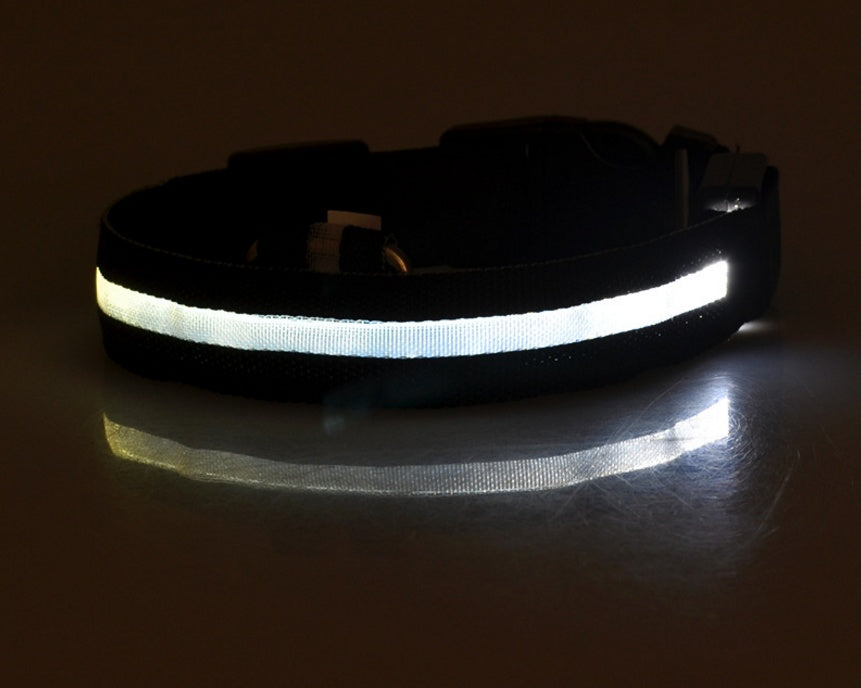 LED Glow Collar – Safe Night Walks for Pets