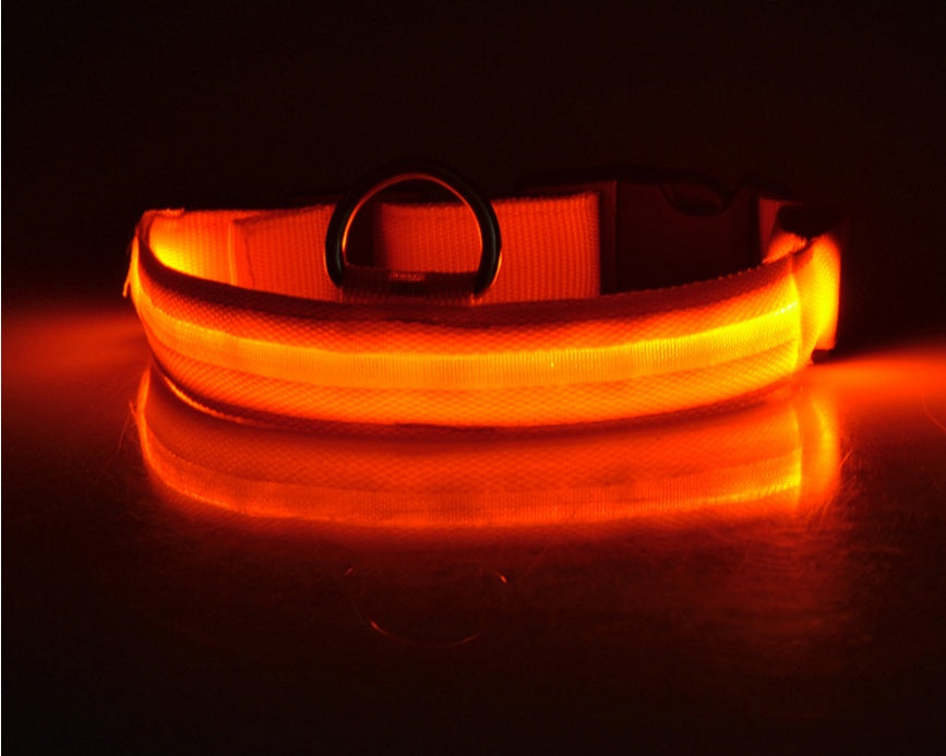 LED Glow Collar – Safe Night Walks for Pets