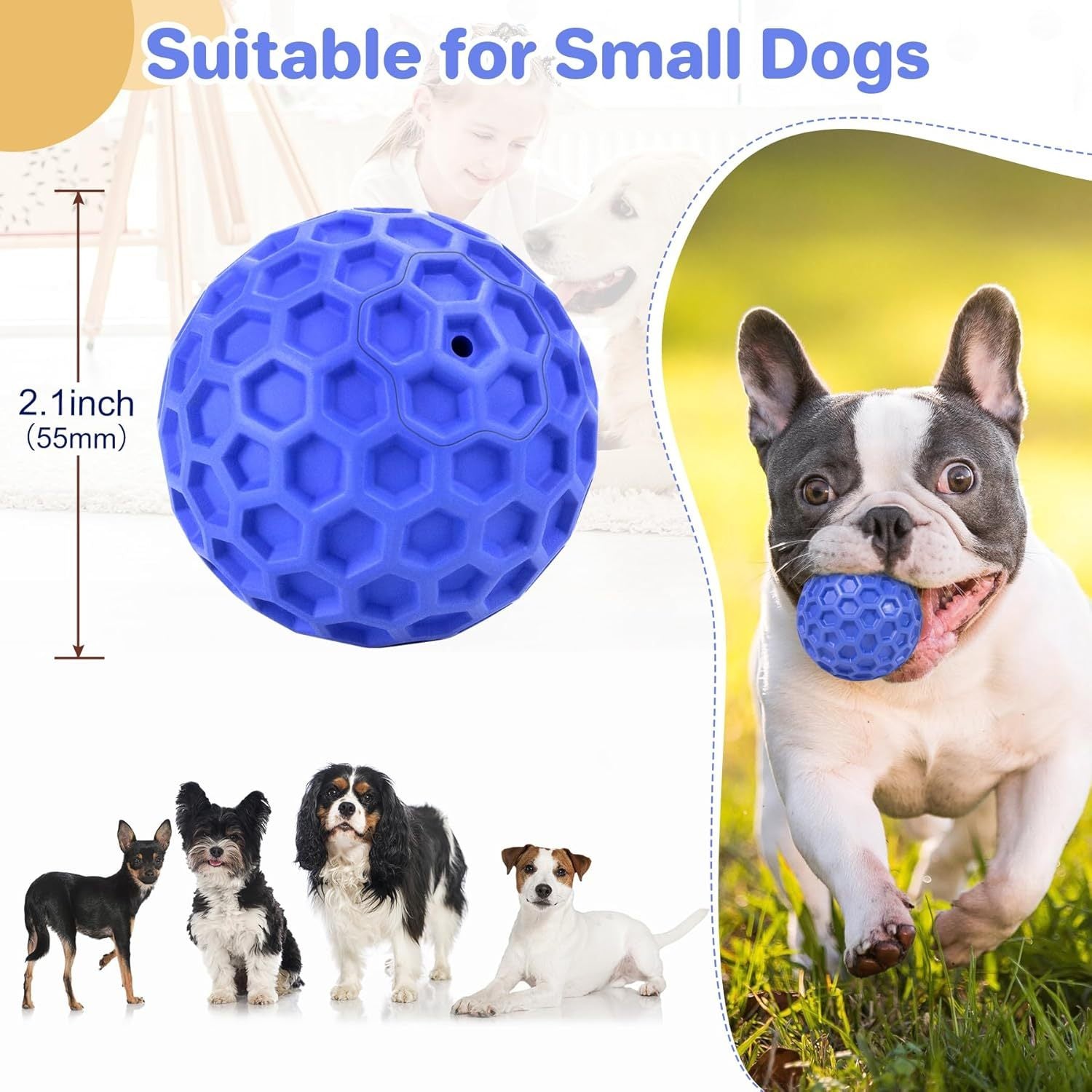 Heavy-Duty Squeaky Ball – Lasting Fun & Relieves Anxiety