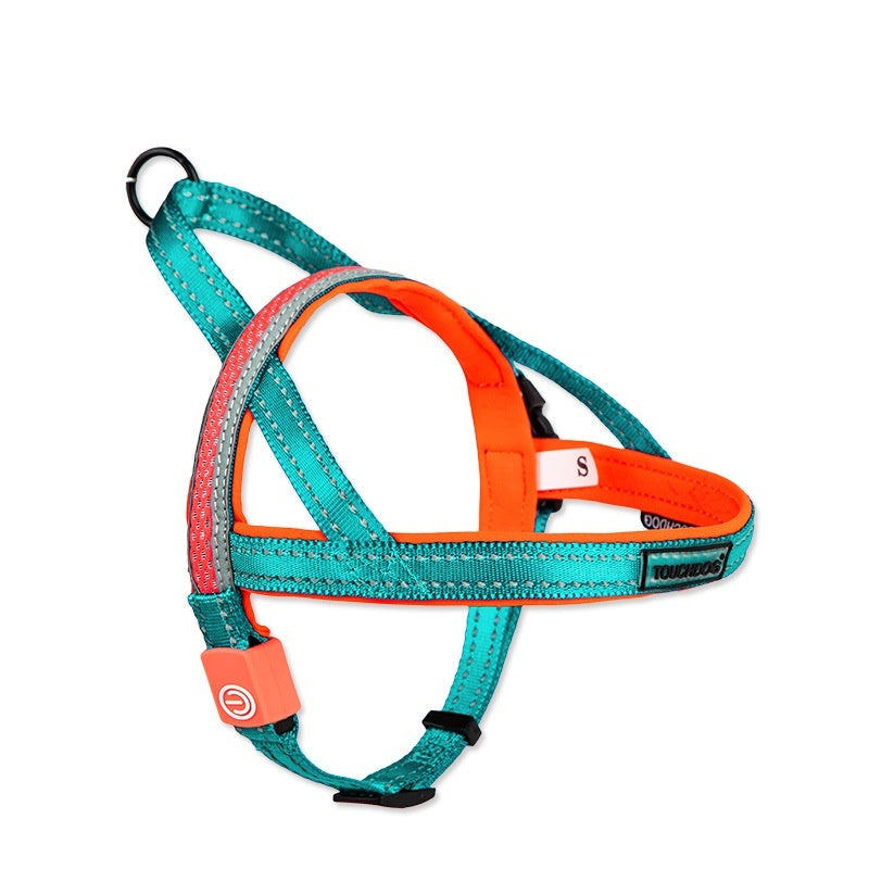 LED Dog Leash – Light Up Night Walking