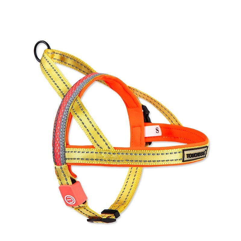 LED Dog Leash – Light Up Night Walking