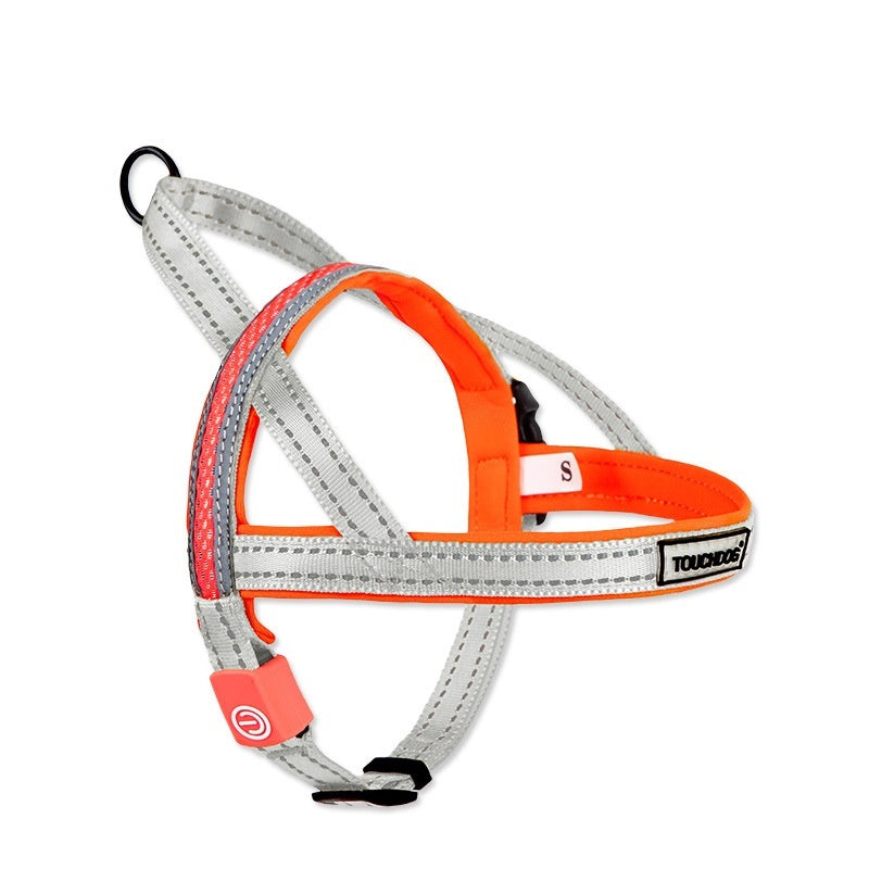 LED Dog Leash – Light Up Night Walking