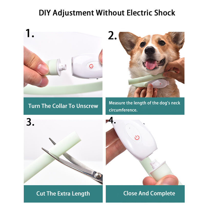 USB-Rechargeable LED Dog Collar – Glow & Stay Safe