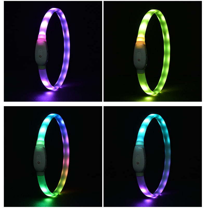 USB-Rechargeable LED Dog Collar – Glow & Stay Safe