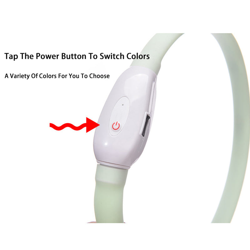 USB-Rechargeable LED Dog Collar – Glow & Stay Safe