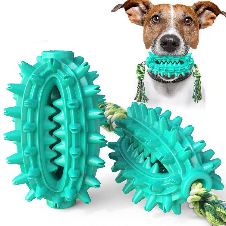 Molar Rope Chew – Clean Teeth, Play Happy