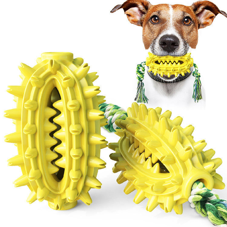 Molar Rope Chew – Clean Teeth, Play Happy