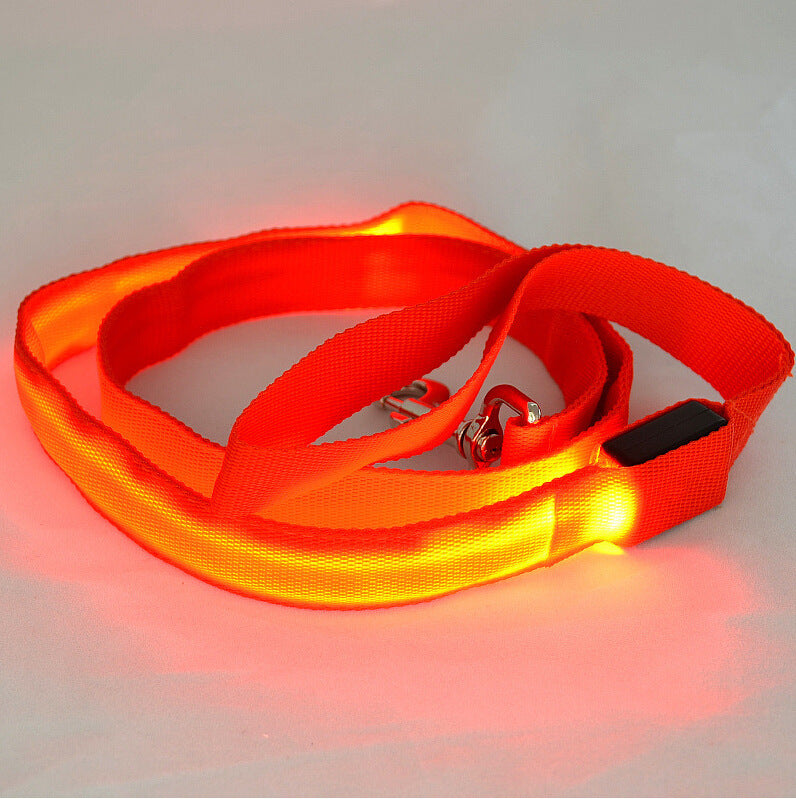 Glowing LED Dog Leash – Walk Safely at Night