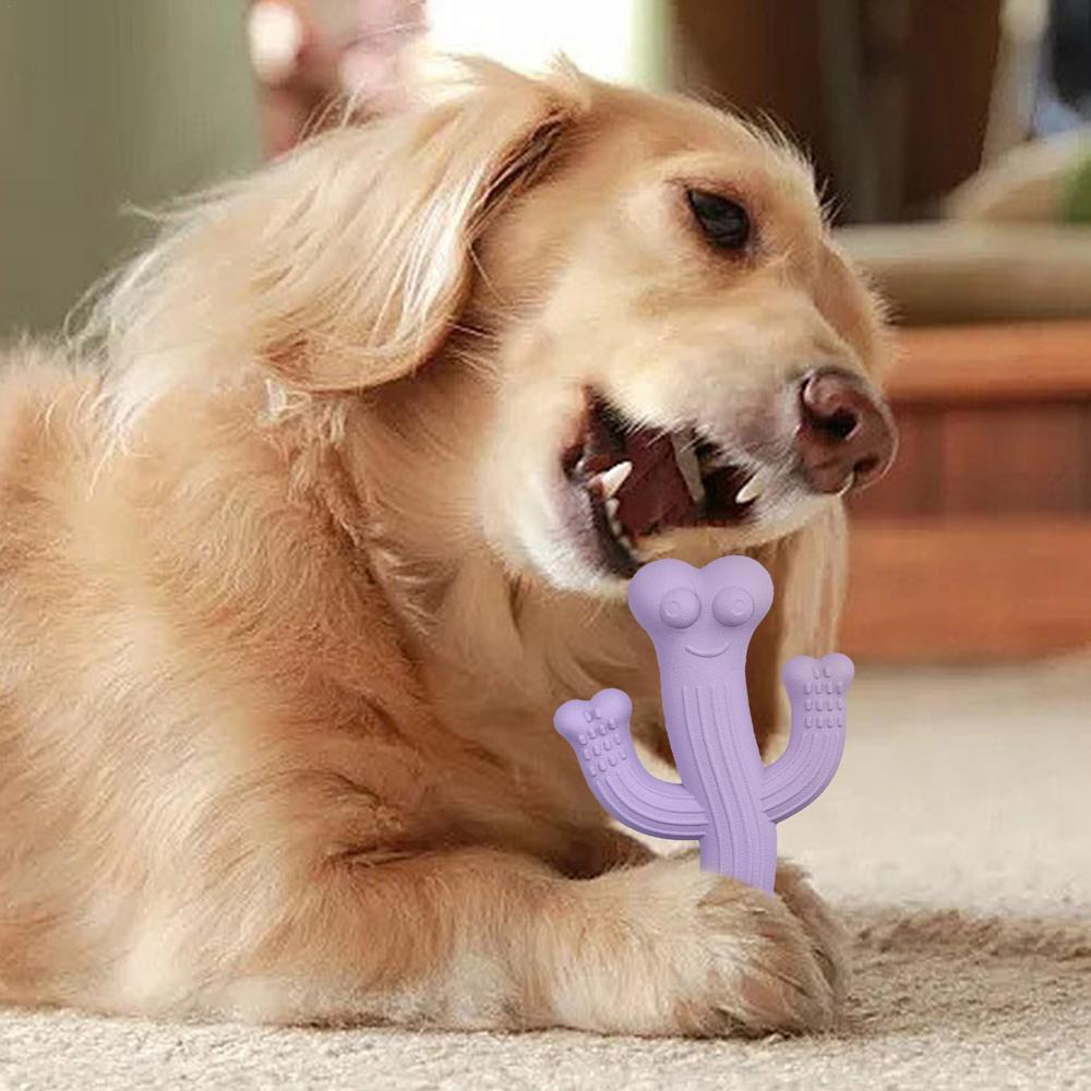 Cactus Chew Toy – Fun & Durable for Puppy Play
