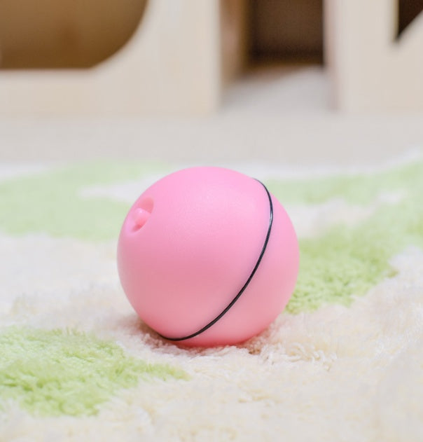 Interactive LED Rolling Ball – Stimulate and Entertain Pets