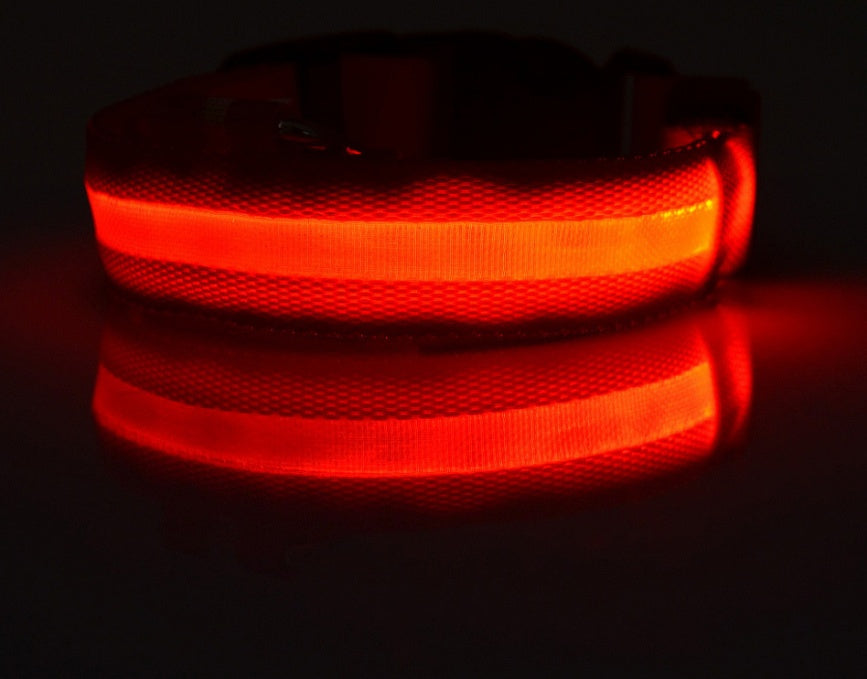LED Glow Collar – Safe Night Walks for Pets