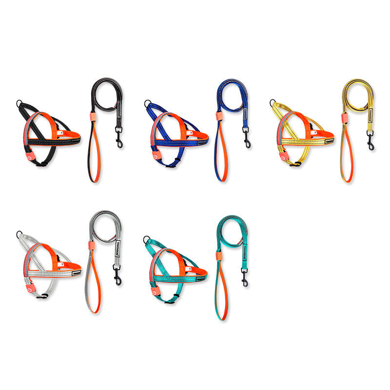 LED Dog Leash – Light Up Night Walking