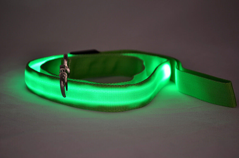 Glowing LED Dog Leash – Walk Safely at Night