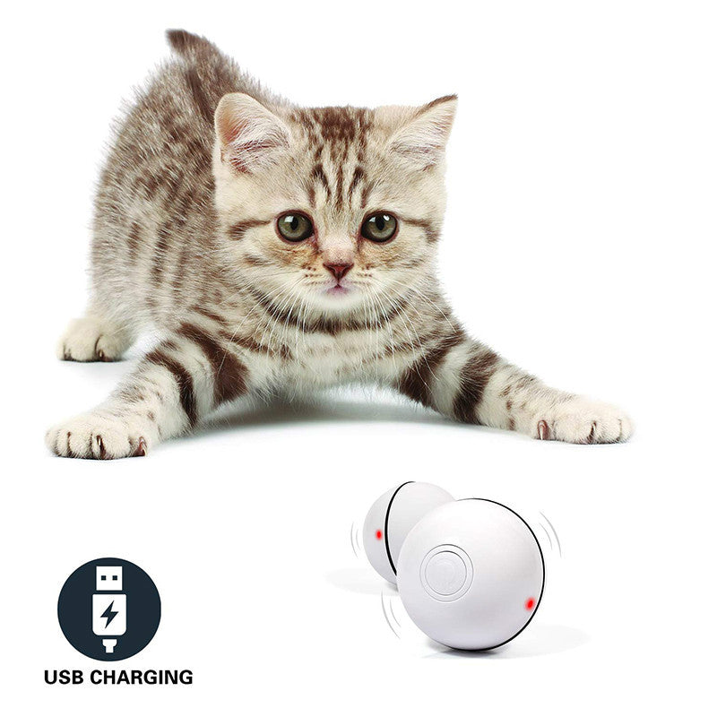 Interactive LED Rolling Ball – Stimulate and Entertain Pets