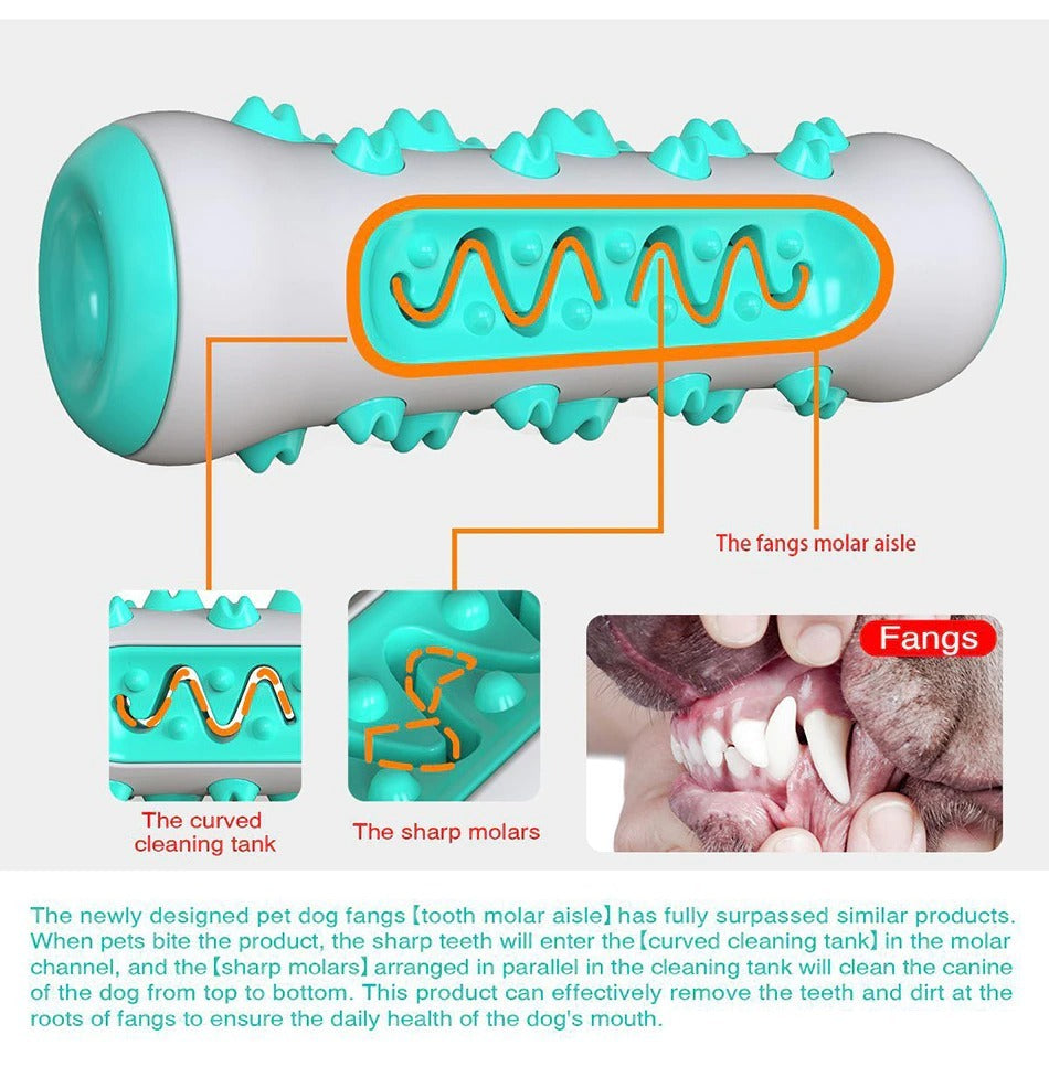 Tough Squeaky Chew Toy – Made for Aggressive Chewers