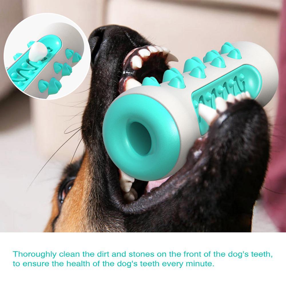 Tough Squeaky Chew Toy – Made for Aggressive Chewers