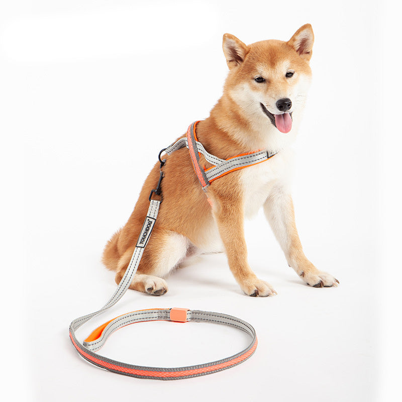 LED Dog Leash – Light Up Night Walking