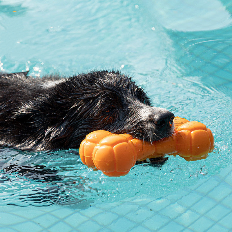 Splash & Play Toy – Floating, Durable, Sound-Making Fun