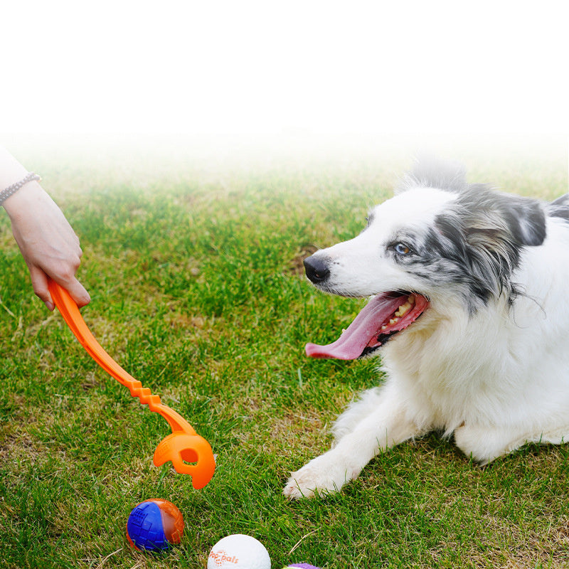 Outdoor Picking Club – Train & Play with Your Dog