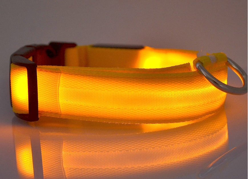 LED Glow Collar – Safe Night Walks for Pets