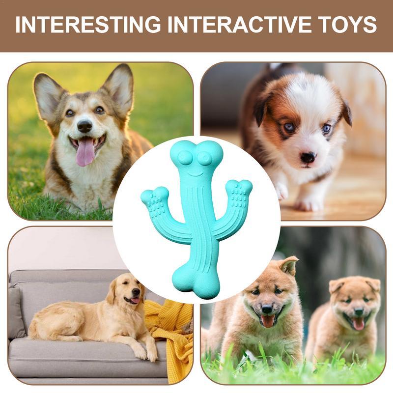 Cactus Chew Toy – Fun & Durable for Puppy Play