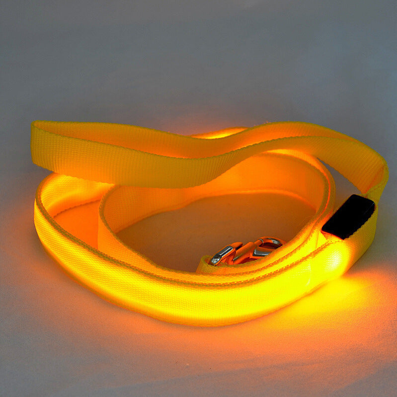 Glowing LED Dog Leash – Walk Safely at Night