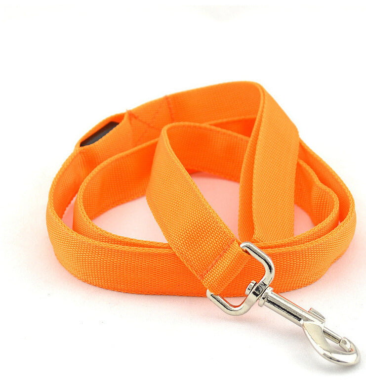 Glowing LED Dog Leash – Walk Safely at Night
