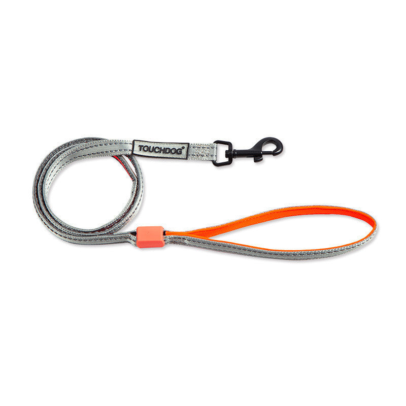 LED Dog Leash – Light Up Night Walking
