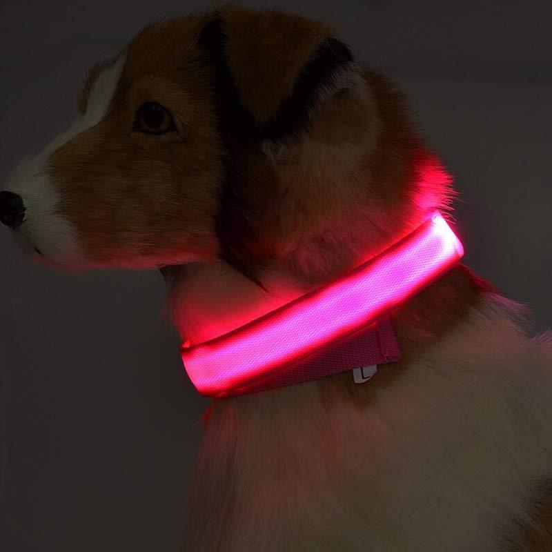 LED Glow Collar – Safe Night Walks for Pets