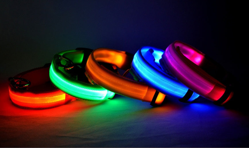 LED Glow Collar – Safe Night Walks for Pets