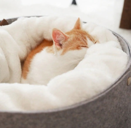 Dream Pet Nest – Snuggle, Sleep, and Rest Easy