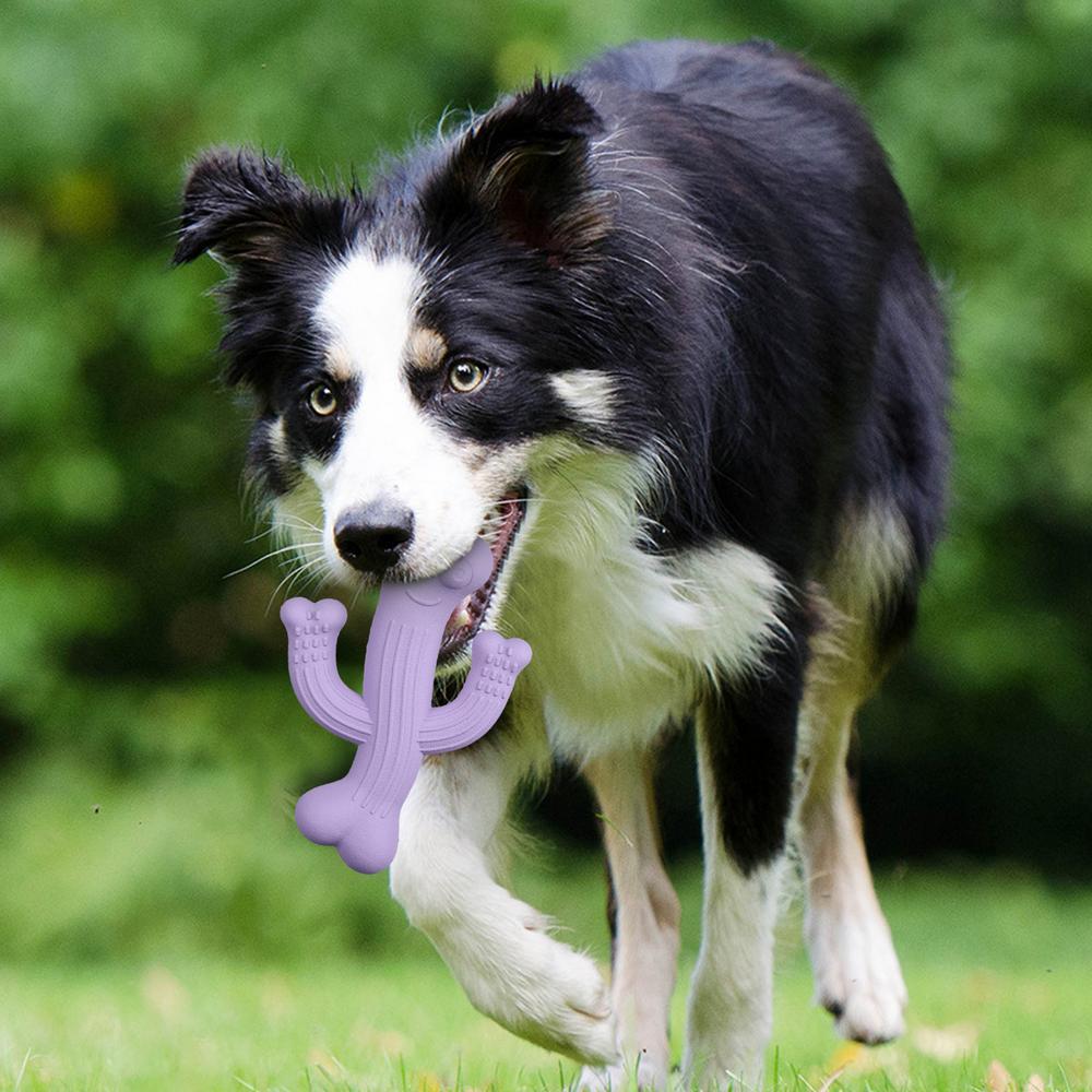 Cactus Chew Toy – Fun & Durable for Puppy Play