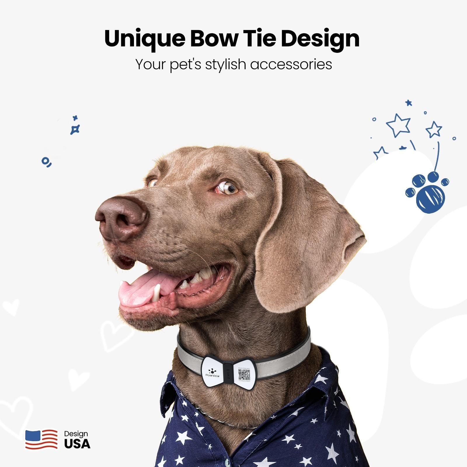 Smart Pet ID Tag – NFC & QR Info in One