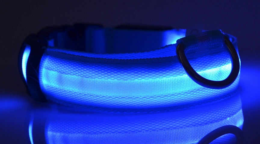 LED Glow Collar – Safe Night Walks for Pets