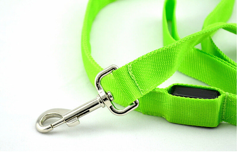 Glowing LED Dog Leash – Walk Safely at Night