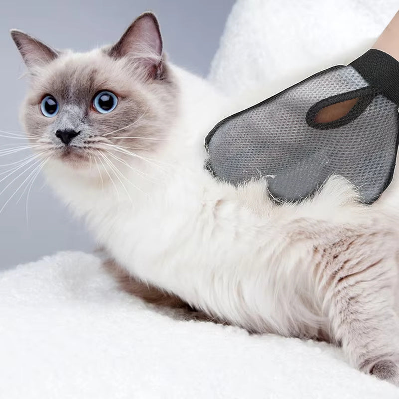 Magic Pet Glove – Remove Hair & Massage Your Buddy!