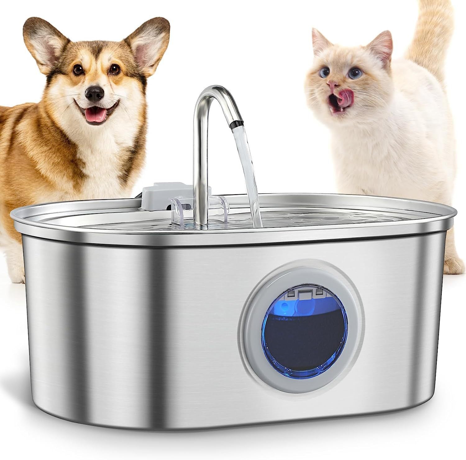 Hydration Station – Stainless Steel Water Dispenser for Pets
