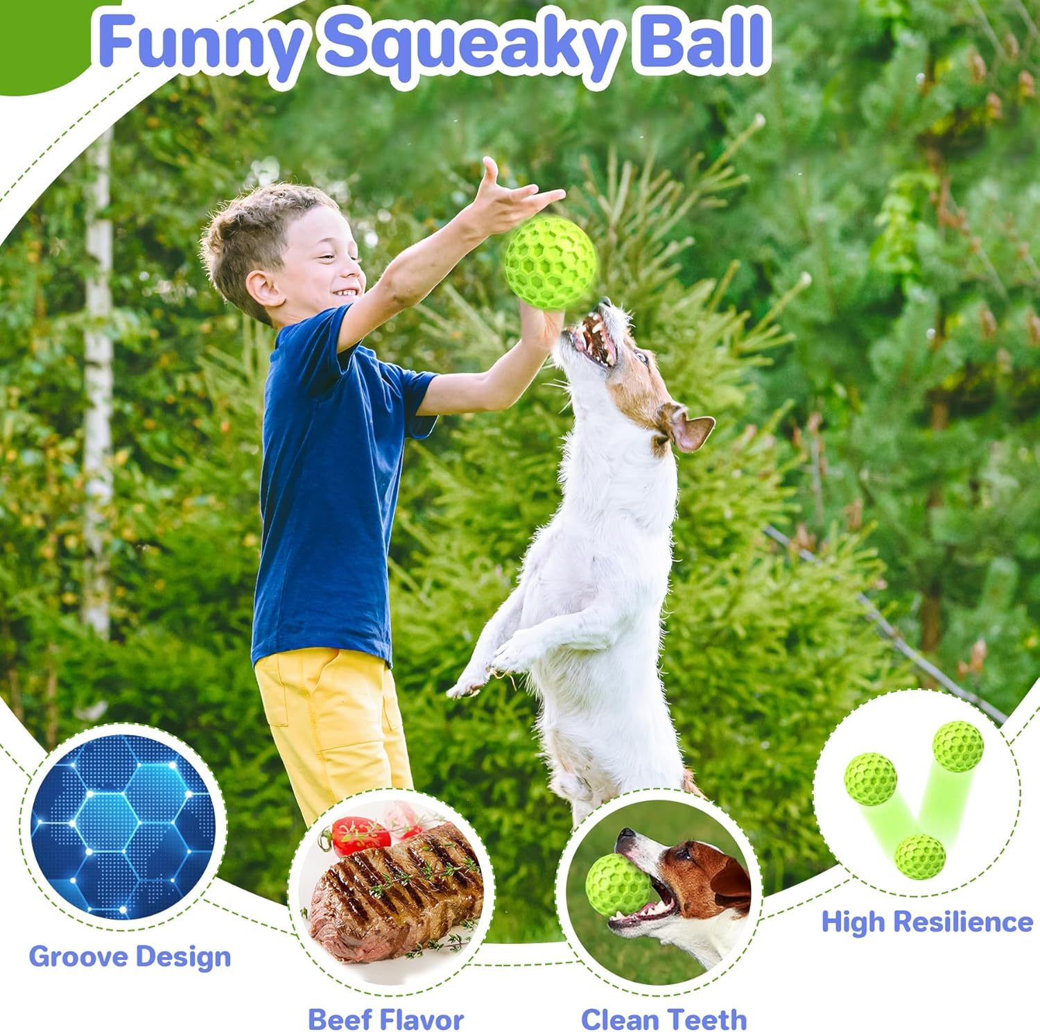 Heavy-Duty Squeaky Ball – Lasting Fun & Relieves Anxiety