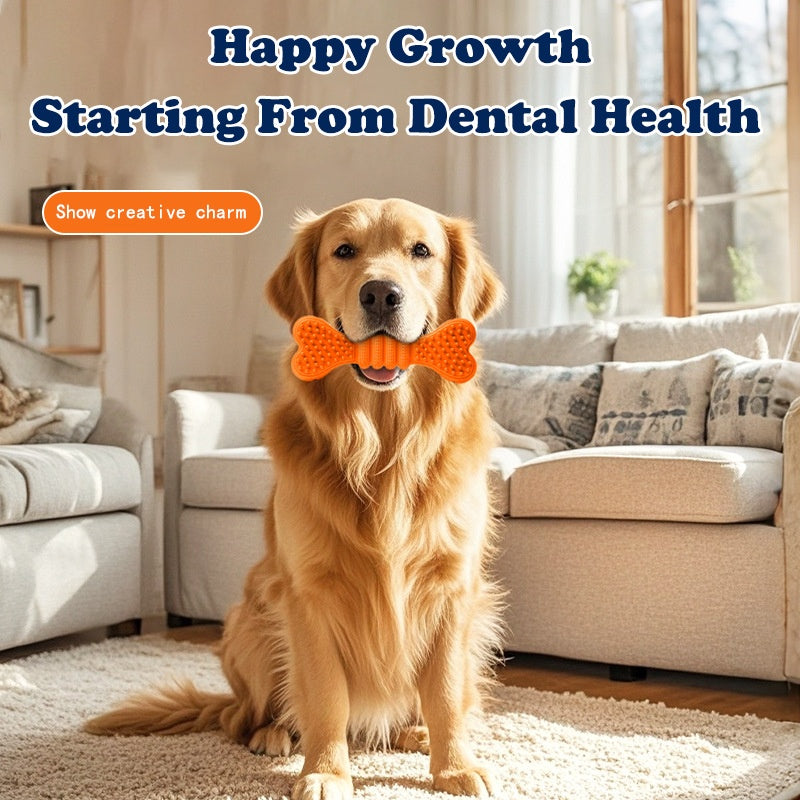 Toothbrush Chew Sticks – Clean Teeth While They Play