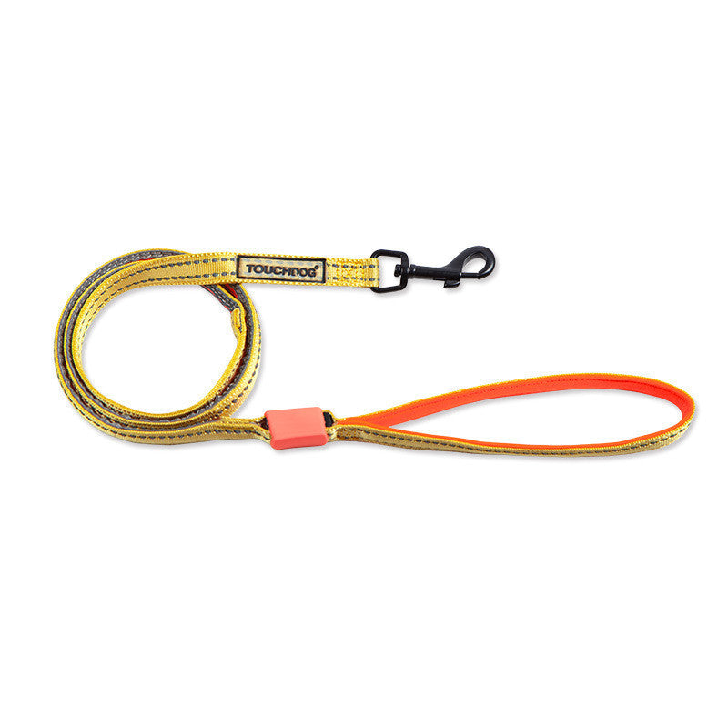 LED Dog Leash – Light Up Night Walking
