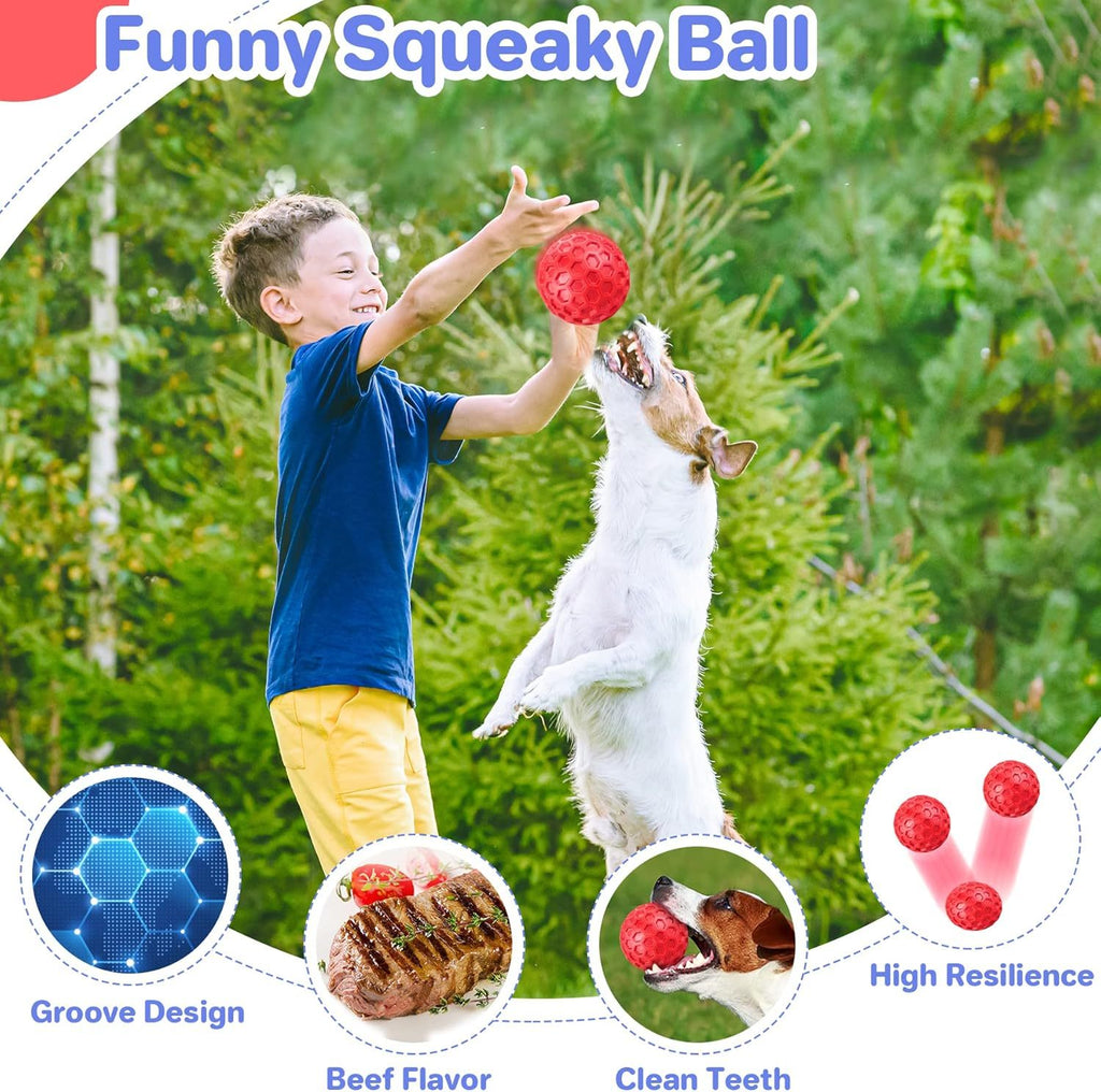 Heavy-Duty Squeaky Ball – Lasting Fun & Relieves Anxiety