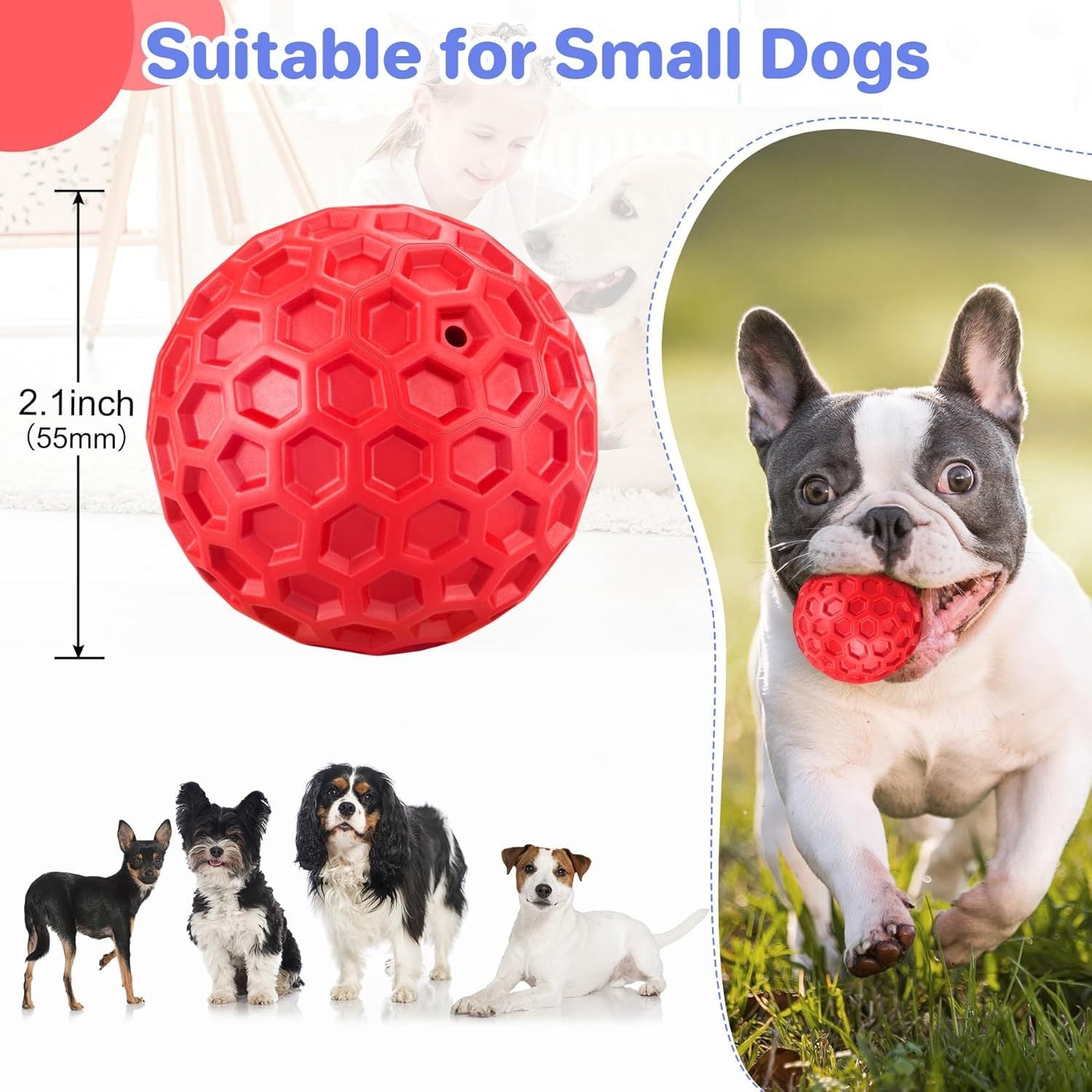 Heavy-Duty Squeaky Ball – Lasting Fun & Relieves Anxiety