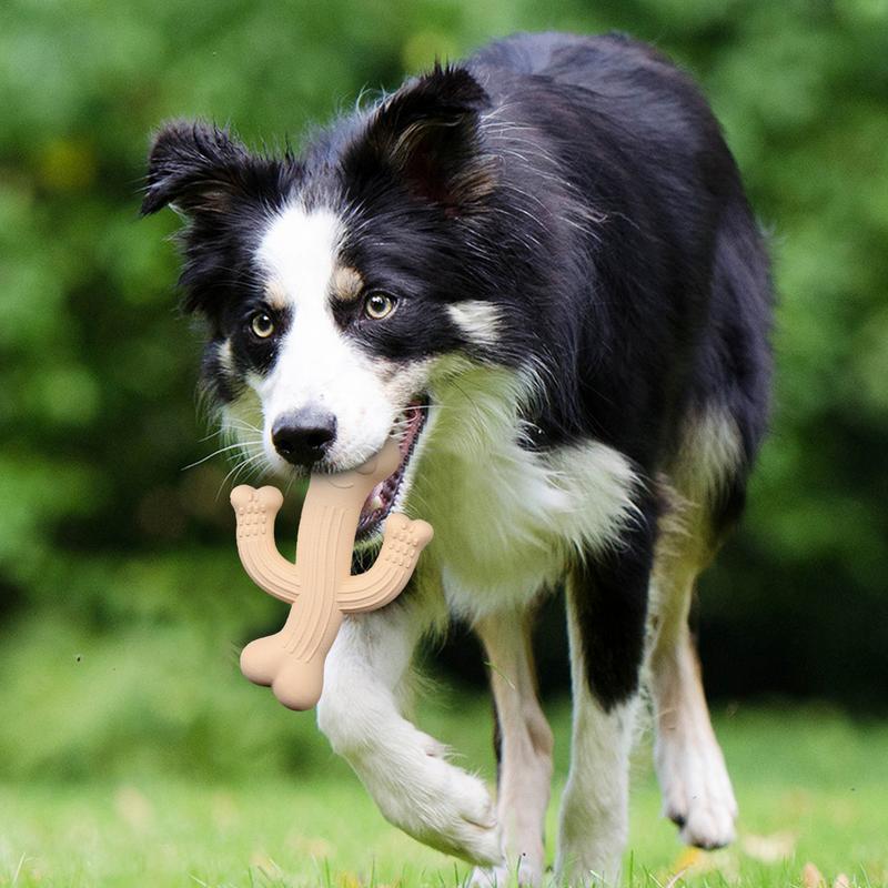 Cactus Chew Toy – Fun & Durable for Puppy Play