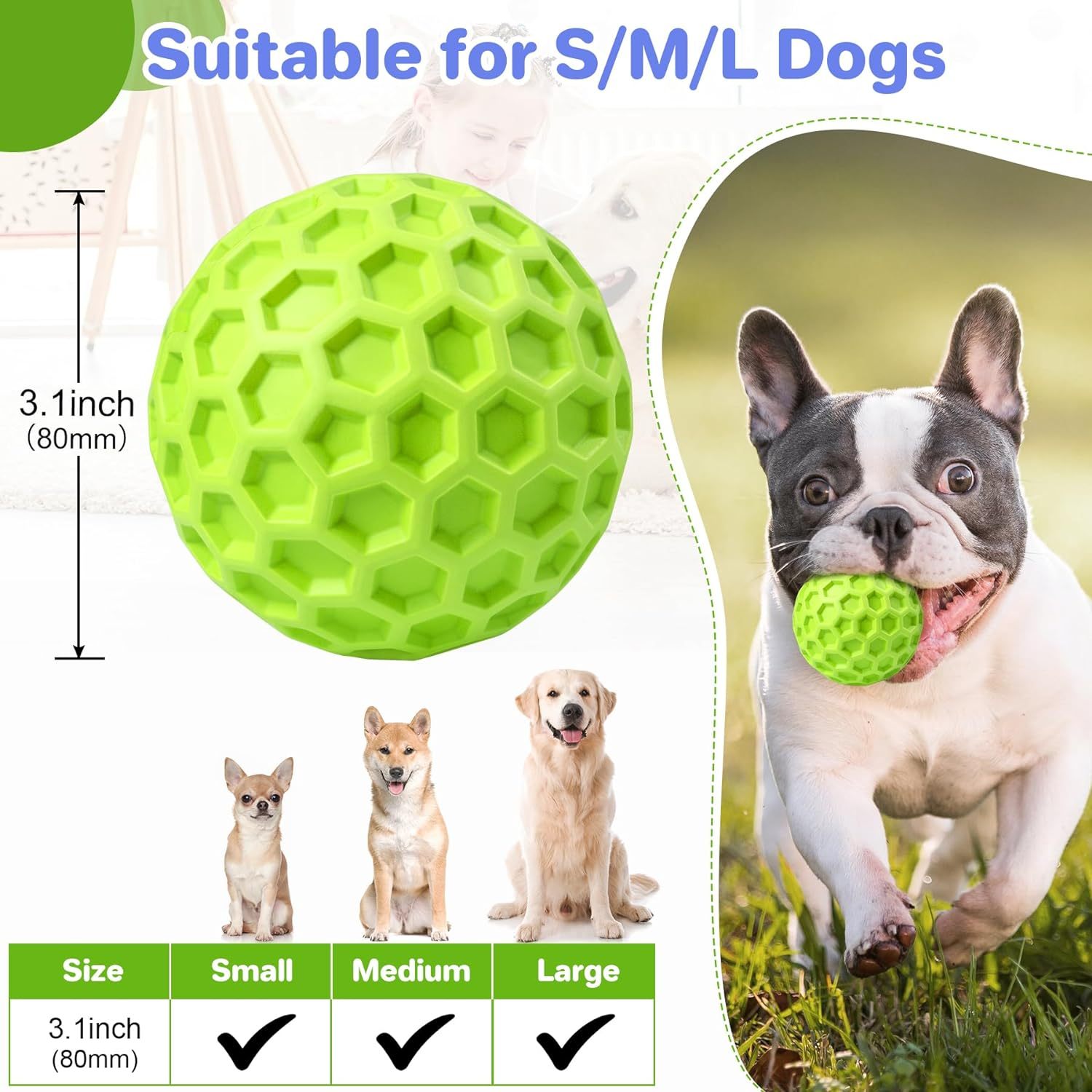 Heavy-Duty Squeaky Ball – Lasting Fun & Relieves Anxiety