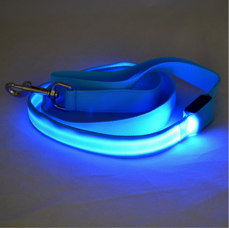 Glowing LED Dog Leash – Walk Safely at Night