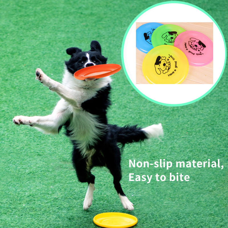 Flying Disc Toy – Toss, Fetch & Play Together