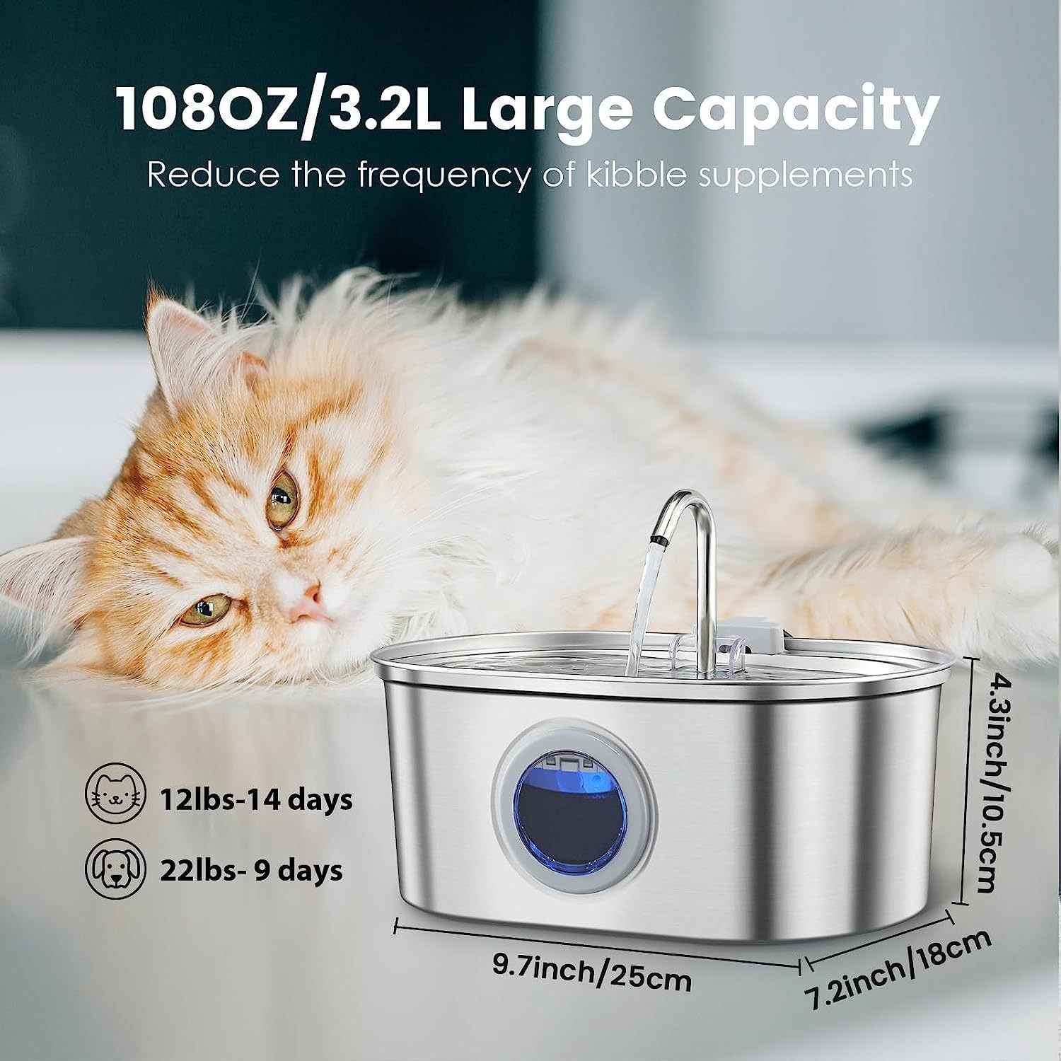 Hydration Station – Stainless Steel Water Dispenser for Pets