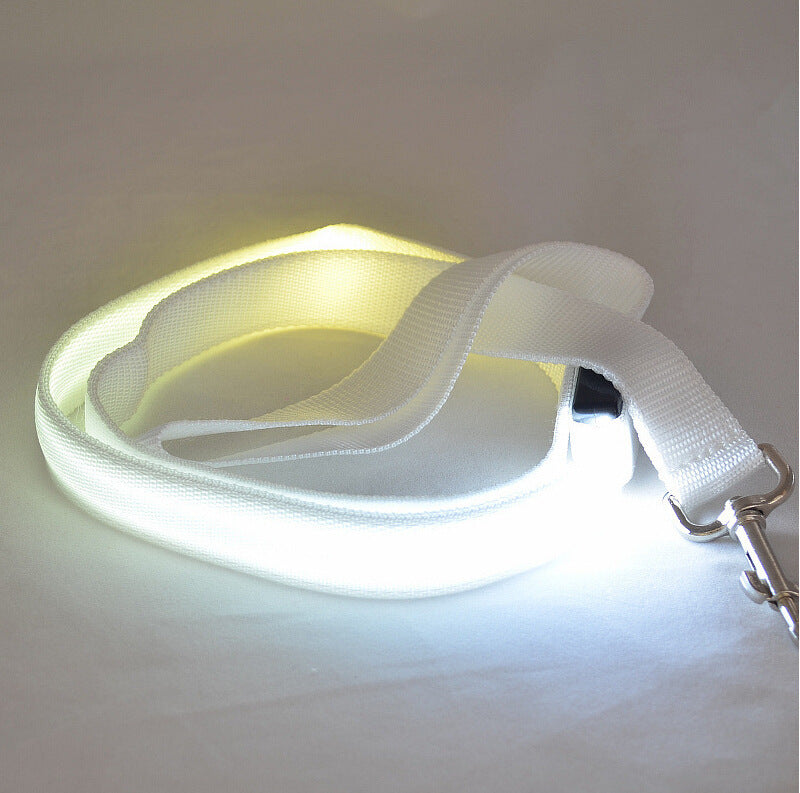 Glowing LED Dog Leash – Walk Safely at Night