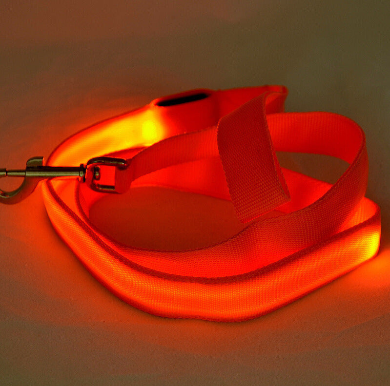 Glowing LED Dog Leash – Walk Safely at Night